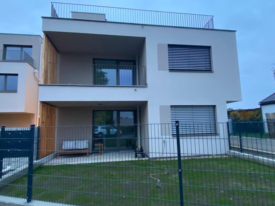 Modern Studio Gardenia_Gartenwohnung Alte Donau Вена Экстерьер фото